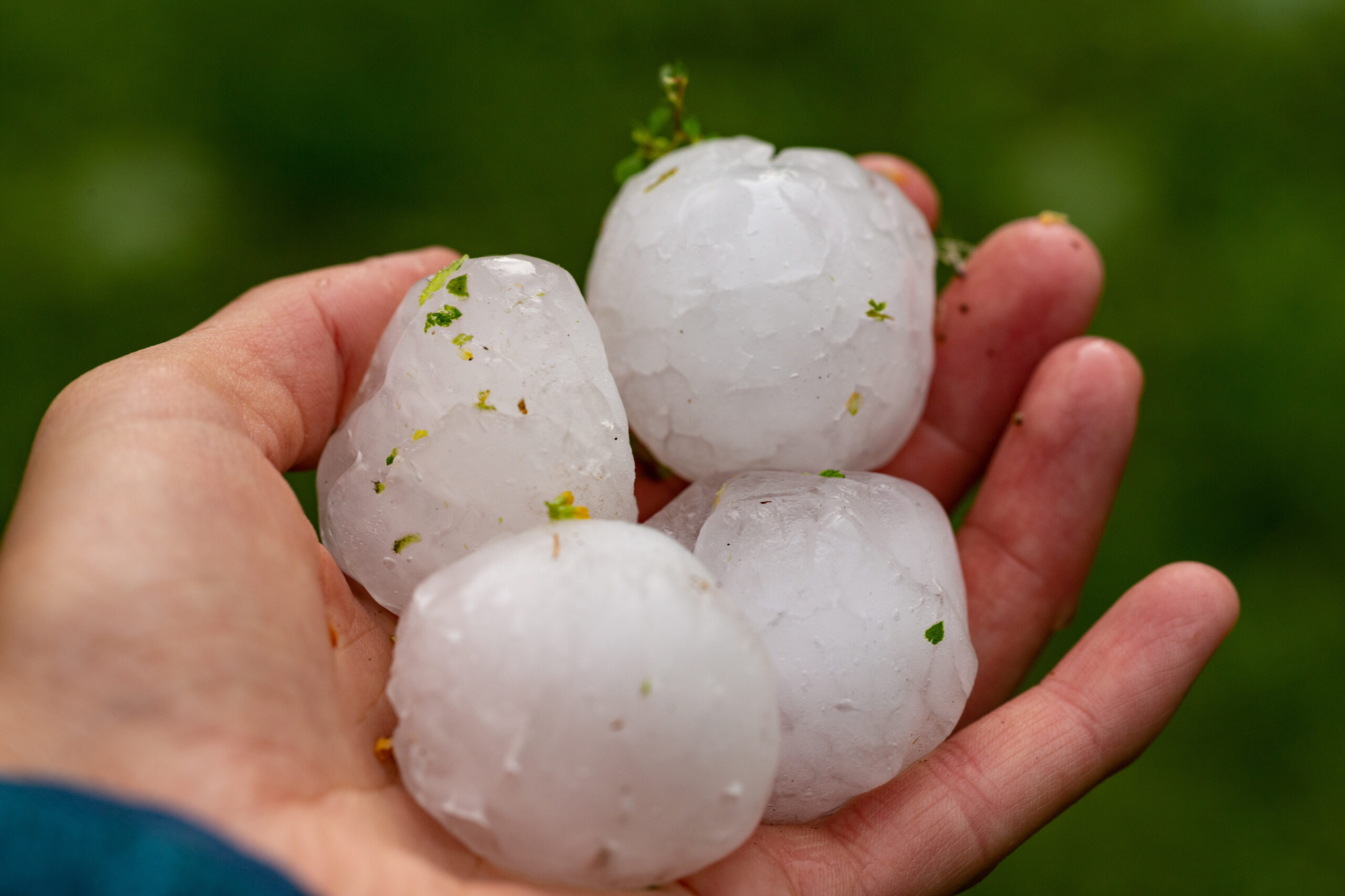 Large hailstones after texas hailstorm